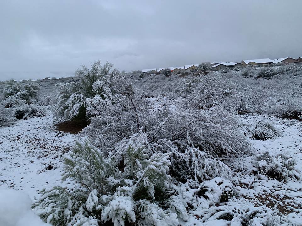 Snow in east ÃÛèÖÖ±²¥